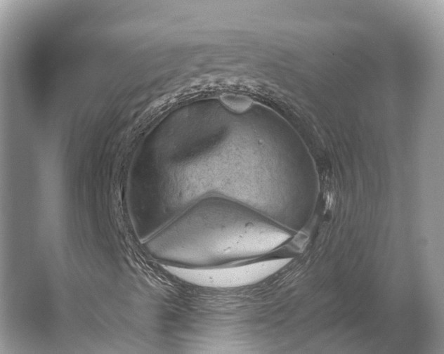 X0000066121489200603241556