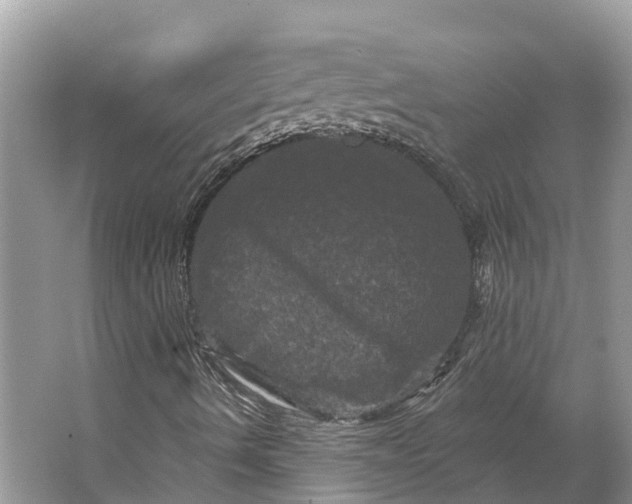 X0000066121490200603241556