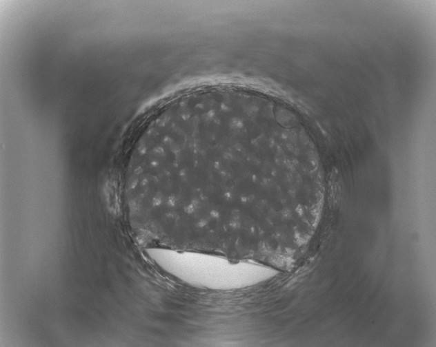 X0000066121494200603241556