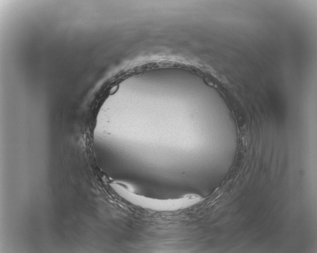 X0000066121495200603241556