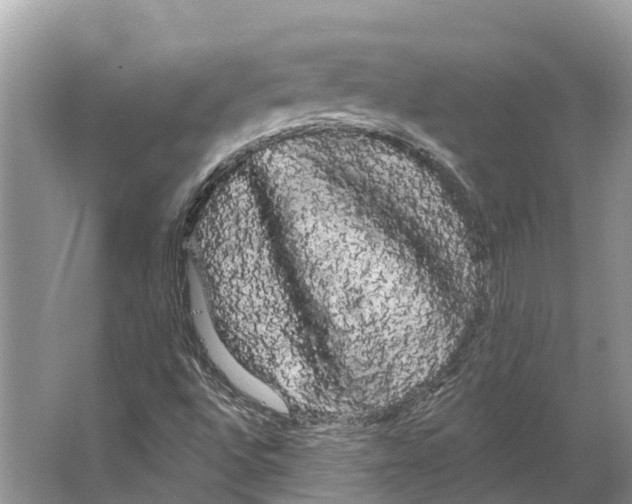 X0000066121496200603241556