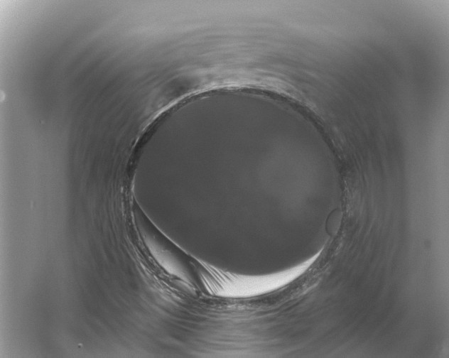 X0000066121497200603241556