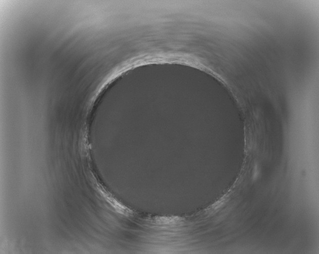 X0000066121498200603241556