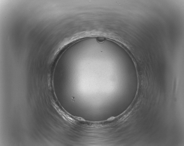 X0000066121499200603241556