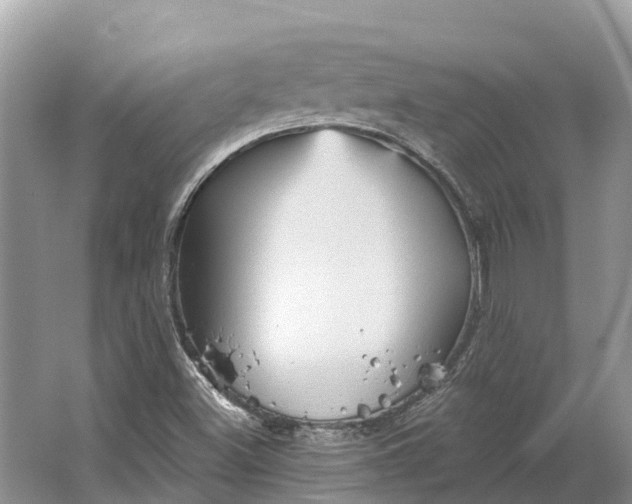 X0000066121500200603241556