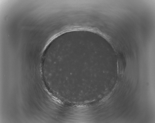 X0000066121501200603241556