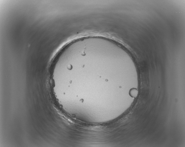 X0000066121502200603241556