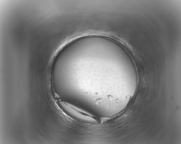 X0000066121504200603241556