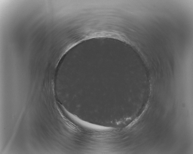 X0000066121505200603241556