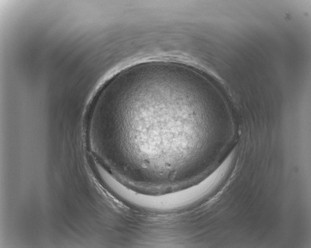 X0000066121506200603241556