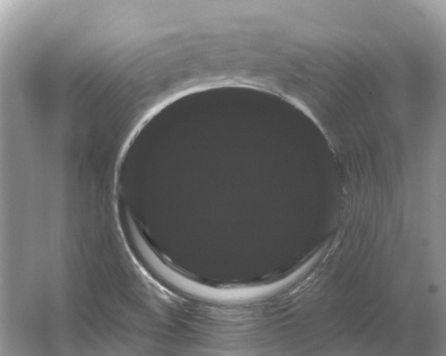 X0000066121508200603241556