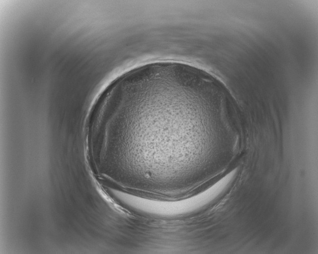 X0000066121511200603241556