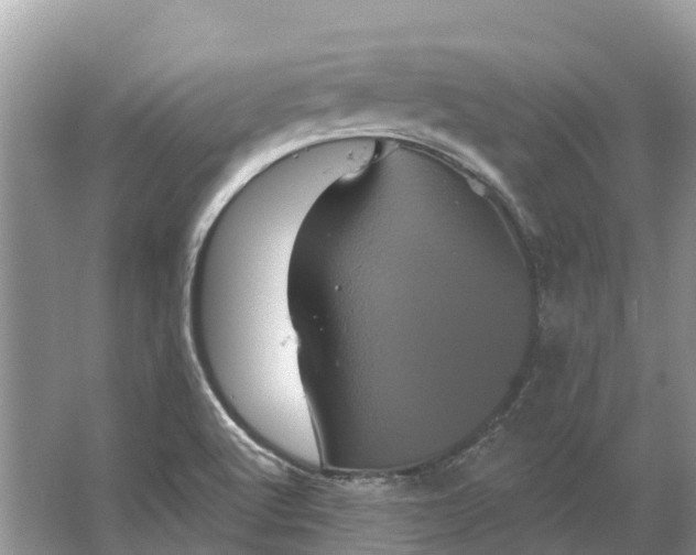 X0000066121512200603241556