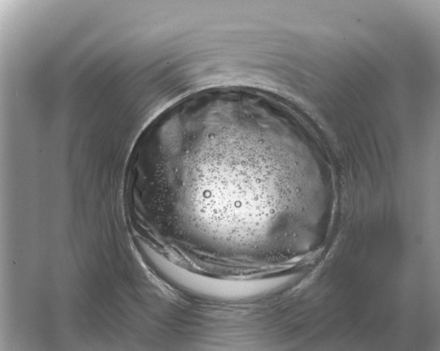 X0000066121513200603241556