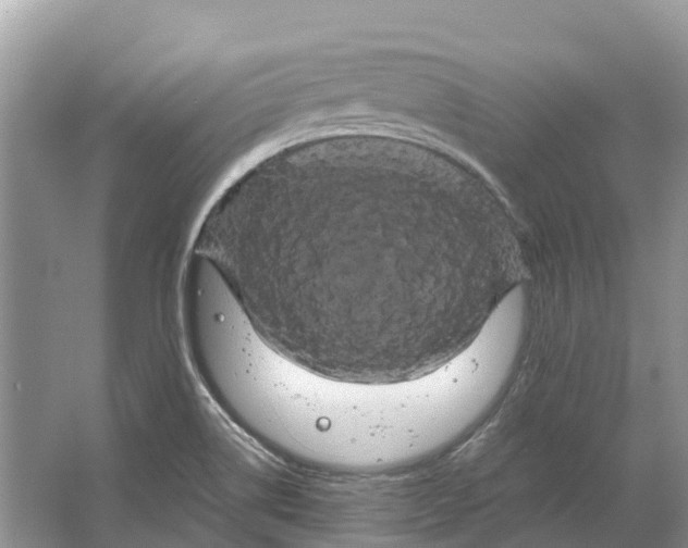 X0000066121514200603241557