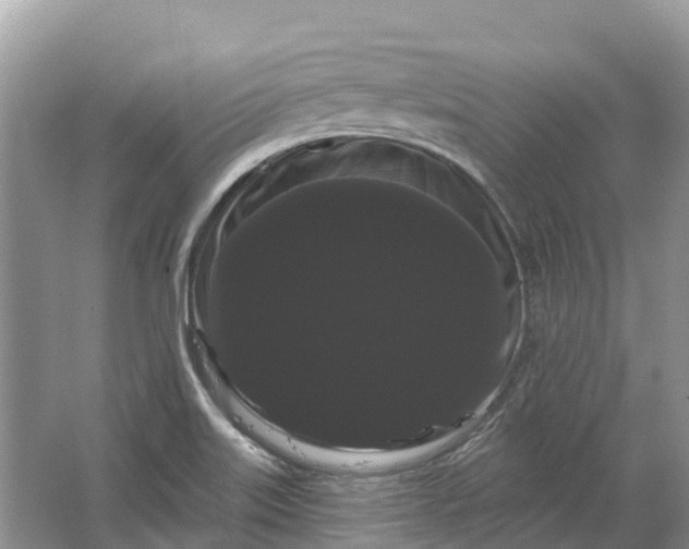 X0000066121515200603241557