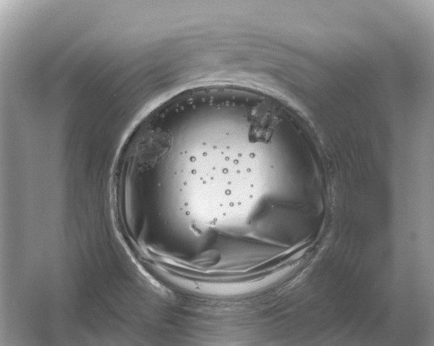 X0000066121517200603241557