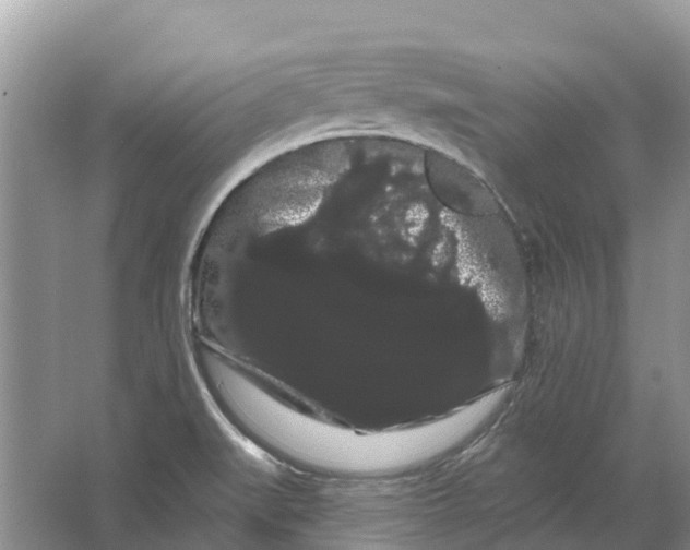 X0000066121519200603241557