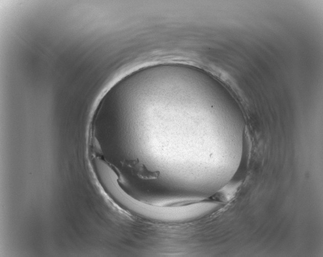 X0000066121520200603241557