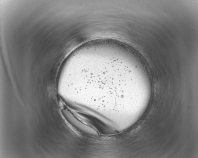 X0000066121521200603241557