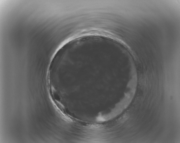 X0000066121522200603241557