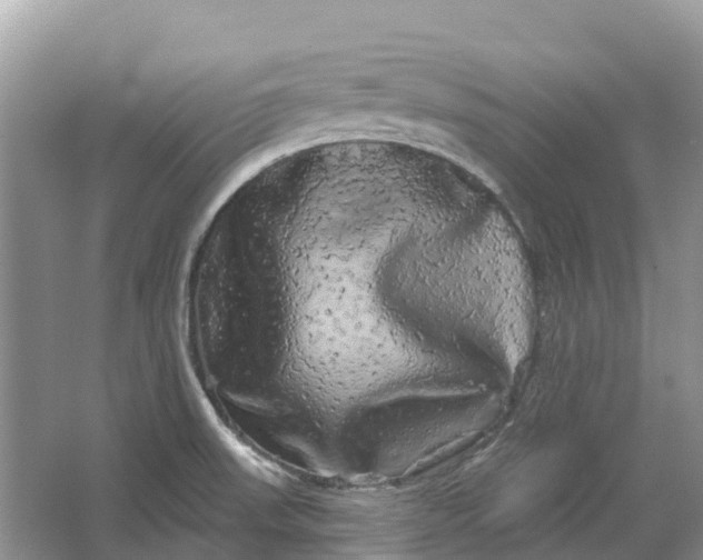 X0000066121523200603241557