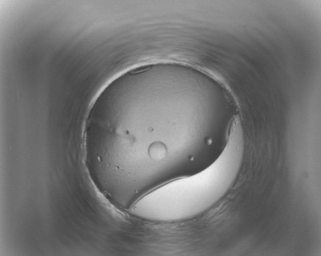 X0000066121524200603241557