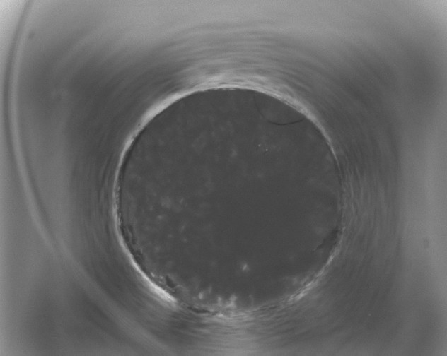 X0000066121525200603241557