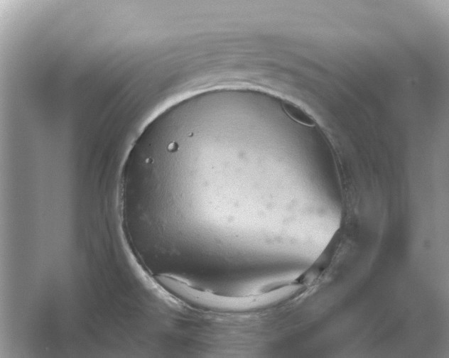 X0000066121526200603241557