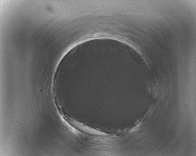 X0000066121527200603241557