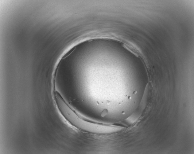 X0000066121528200603241557