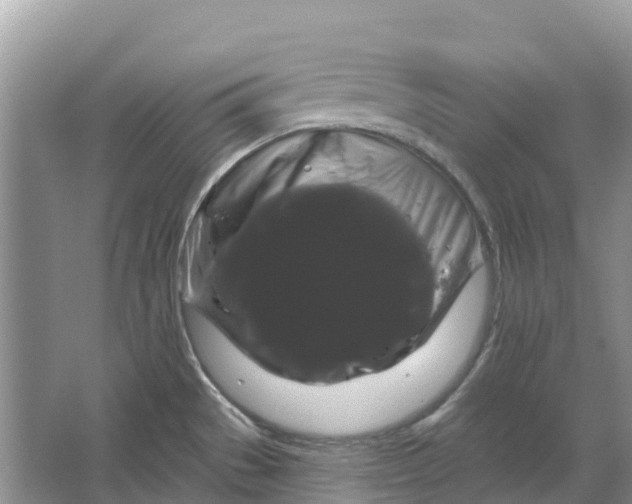 X0000066121529200603241557