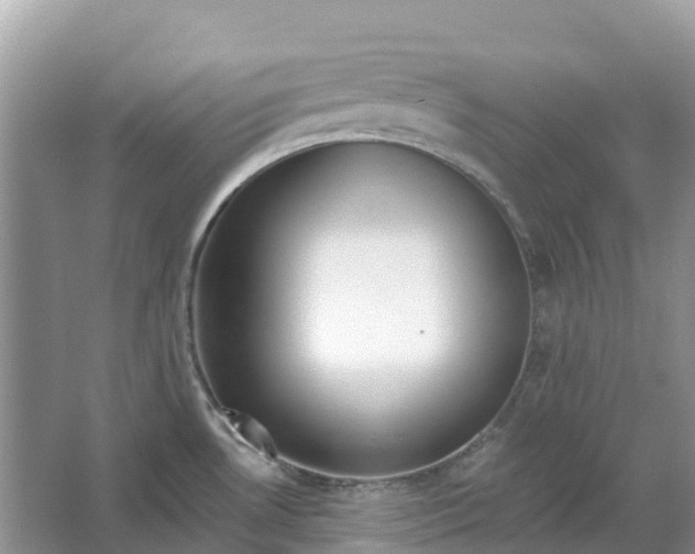 X0000066121530200603241557