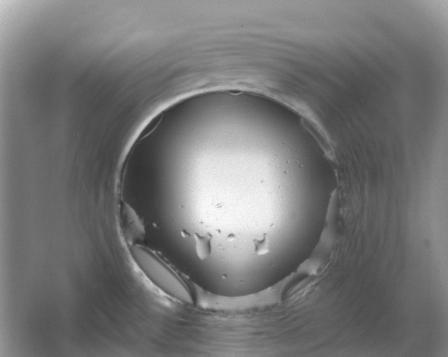 X0000066121532200603241557