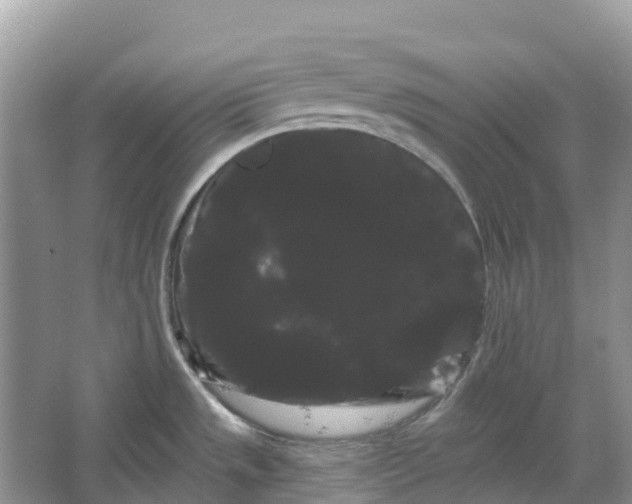 X0000066121533200603241557