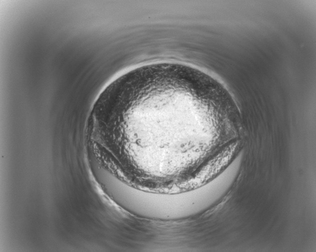 X0000066121534200603241557