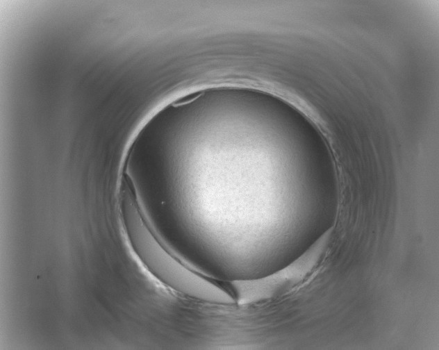 X0000066121536200603241557