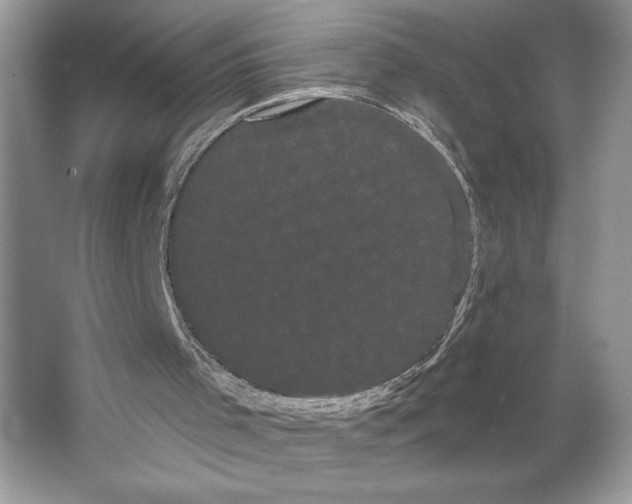 X0000066120001200603311548