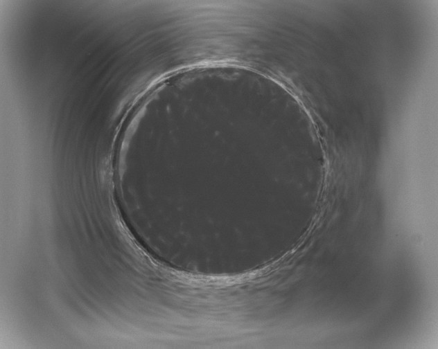 X0000066120002200603311548