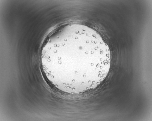 X0000066120003200603311548