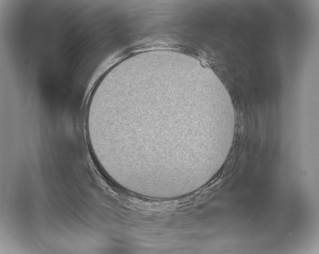 X0000066120004200603311548