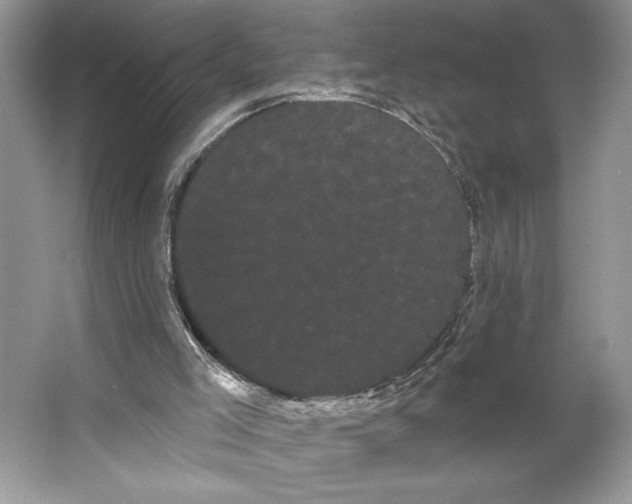 X0000066120005200603311548