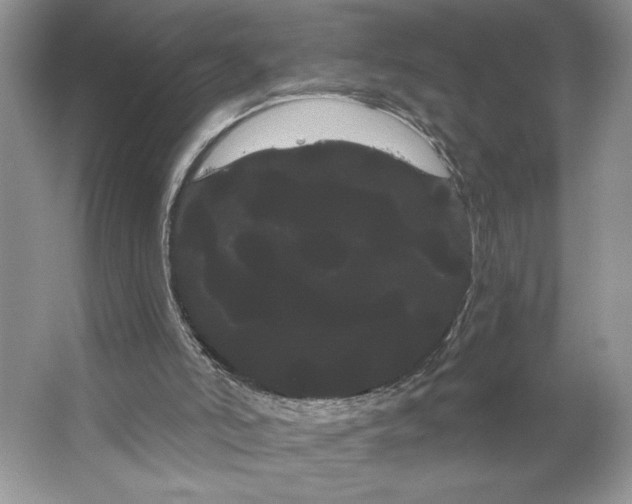 X0000066120006200603311548