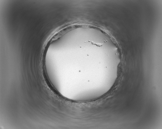 X0000066120007200603311548