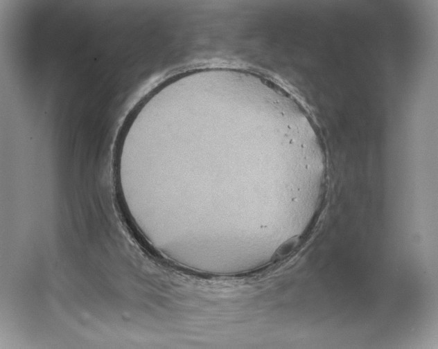 X0000066120008200603311548