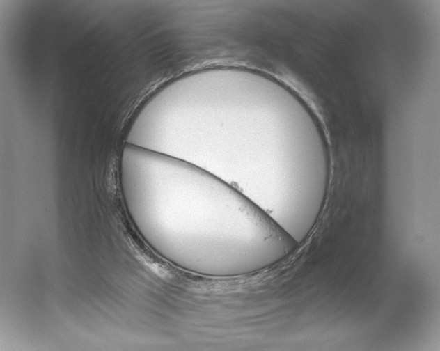 X0000066120009200603311547