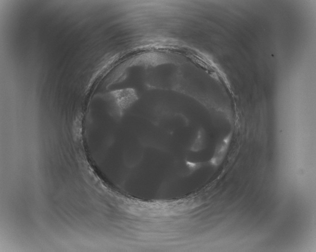 X0000066120010200603311547