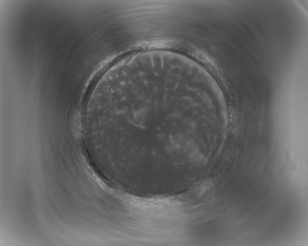 X0000066120012200603311547