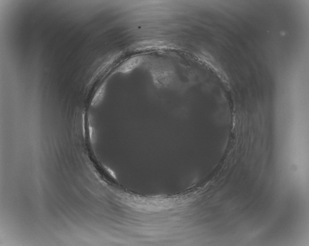 X0000066120014200603311547