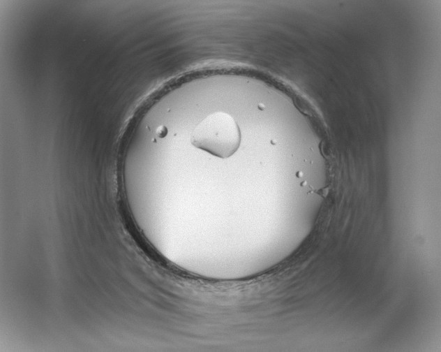 X0000066120015200603311547